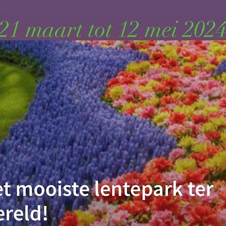Lodge Noordwijk Ngoại thất bức ảnh