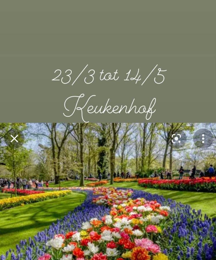 Lodge Noordwijk Ngoại thất bức ảnh