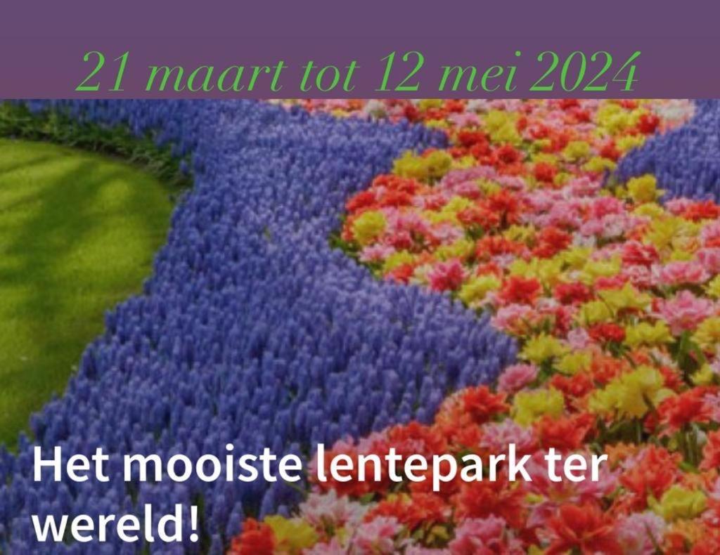 Lodge Noordwijk Ngoại thất bức ảnh